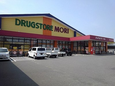 【周辺】 | サンリット　Ｇ | ドラッグストアモリまで550m