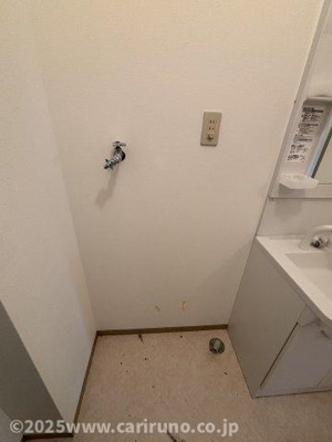 【その他】 | オリーブライト