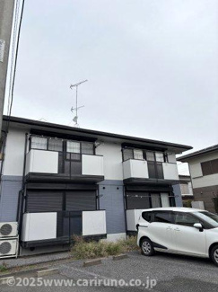 【その他】 | オリーブライト