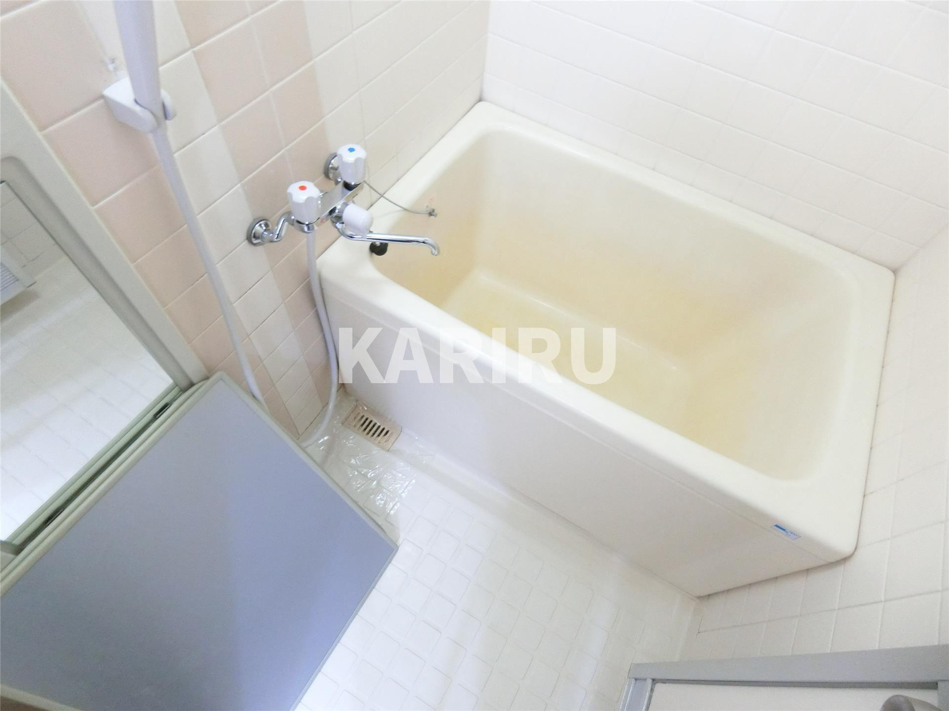 グリーンセンチュリー国広ビルの浴室