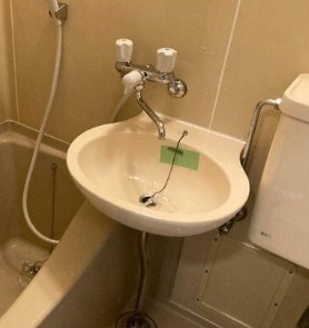 【洗面所】 | ペチュニア