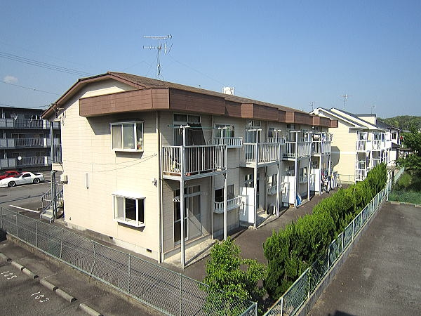 エルデムキャロットの外観
