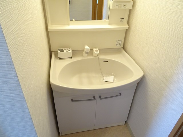 エバーパティオＨＡの洗面所|シャンプードレッサー