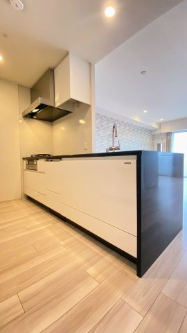 ディアエスタミオ西岡本のキッチン|システムキッチン