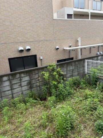 セントエルモ武蔵浦和の庭