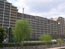 ロイヤルアーク甲子園フローレスの画像