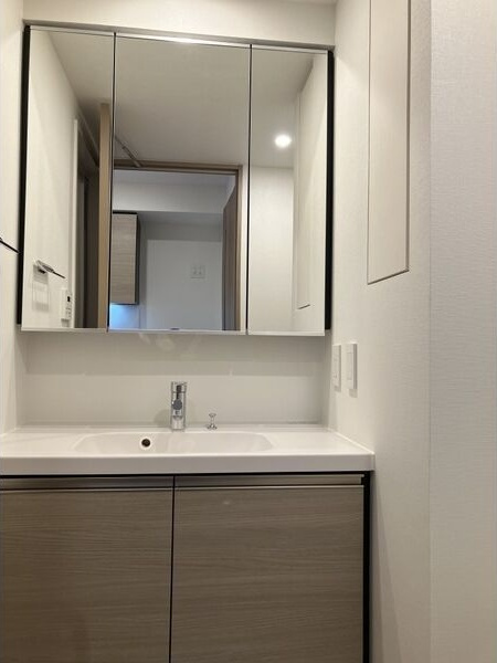 ザ・パークハビオ新栄の洗面所