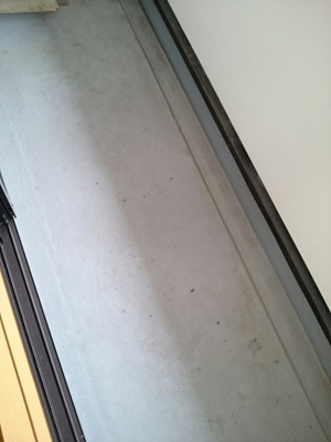 【バルコニー】 | マーベラス | バルコニーがあります