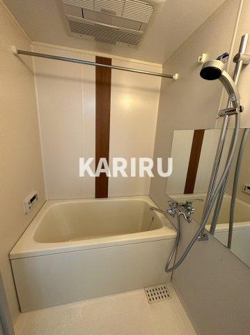 シャトーレイクルイーズの浴室