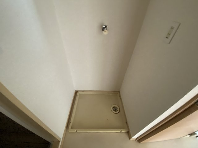 ブルーマウンテンのその他