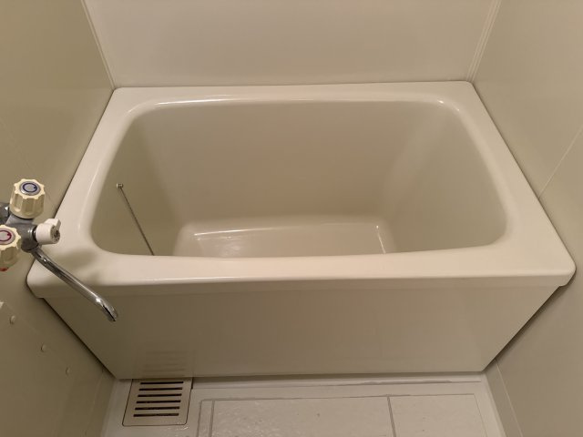 グリーンヒルズ大日の浴室