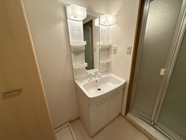 グリーンヒルズ大日の洗面所