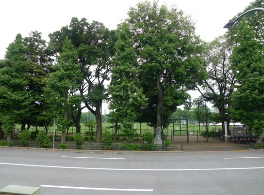 【展望】