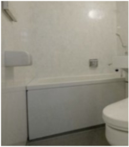 Geo-Islandsの浴室