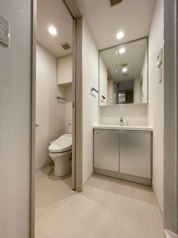 DIPS十条仲原EASTの独立洗面台