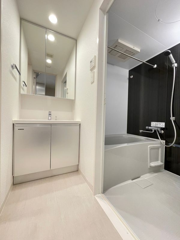 DIPS十条仲原EASTの洗面所