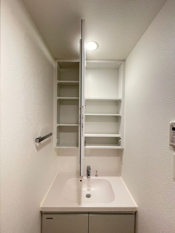 DIPS十条仲原EASTの独立洗面台