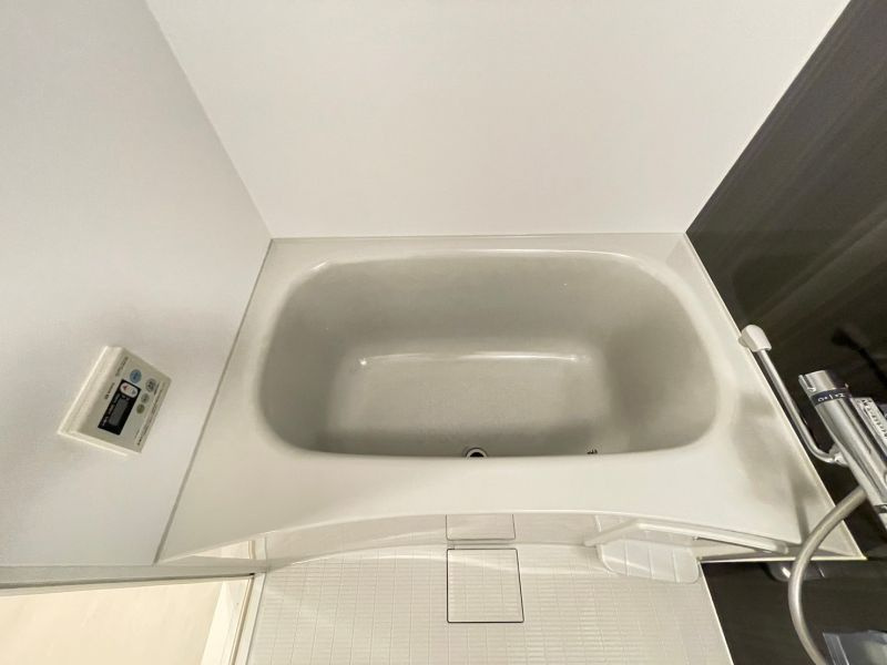 DIPS十条仲原EASTの浴室