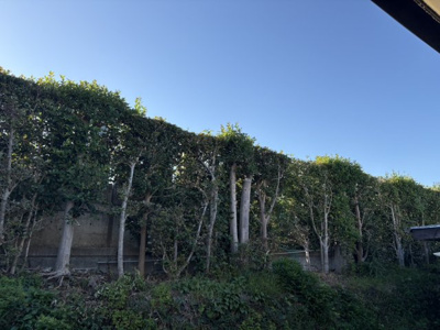 【展望】 | 志村テラスハウス