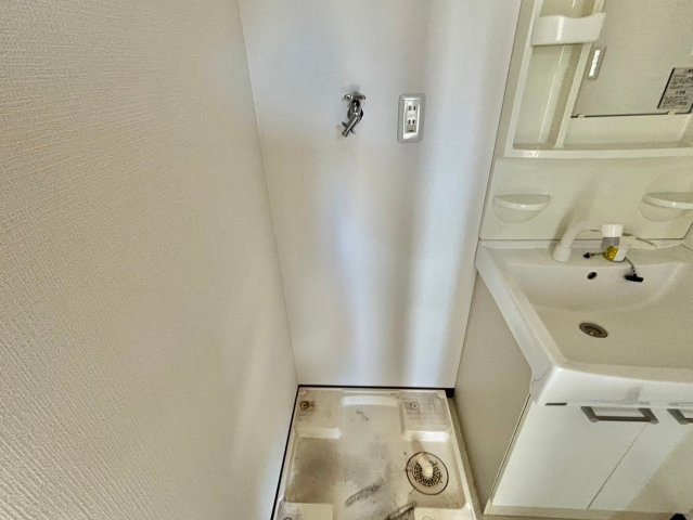 ヴィーナス英賀保の洗面所