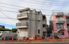 D Paina Oguraの画像