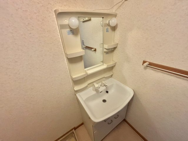 メゾンプラシードⅠの洗面所