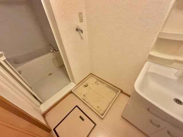 メゾンプラシードⅠの洗面所