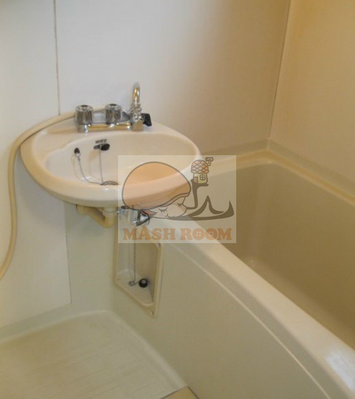 コーポタチの浴室