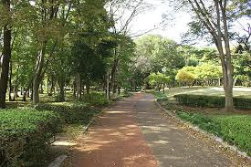 トゥインクル吉田C棟の周辺|赤塚公園まで620メートル