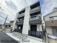 D porta hortensiaの画像