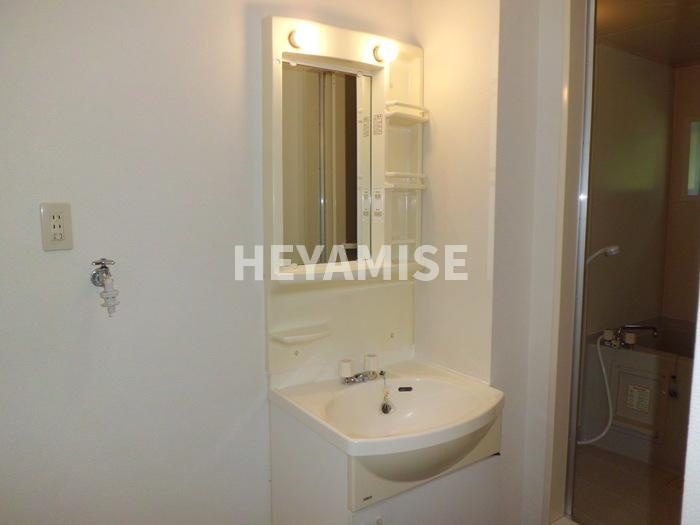 ロイヤルガーデン永田 A棟の洗面所