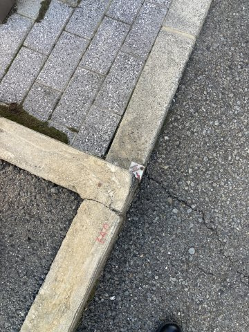 道後今市　土地の外観