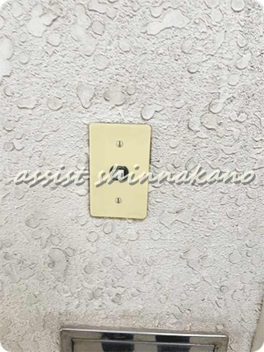 弥生町ビレッジのセキュリティ