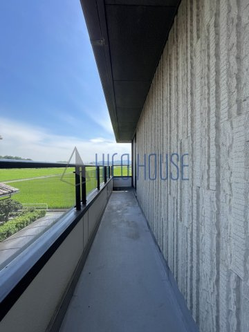 鶴舞4丁目戸建貸家のバルコニー