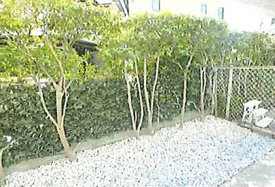 甲子園レジデンスの庭|お庭で休日をお過ごしください