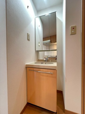 エステムコート新神戸エリタージュの洗面所