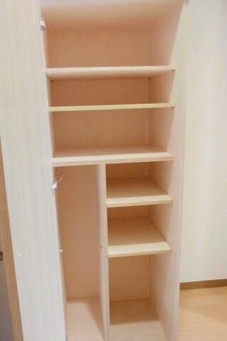スカイコート目白台の収納