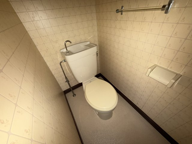 メゾン大半田のトイレ