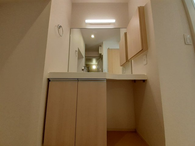 グラン　プレミールⅡの洗面所