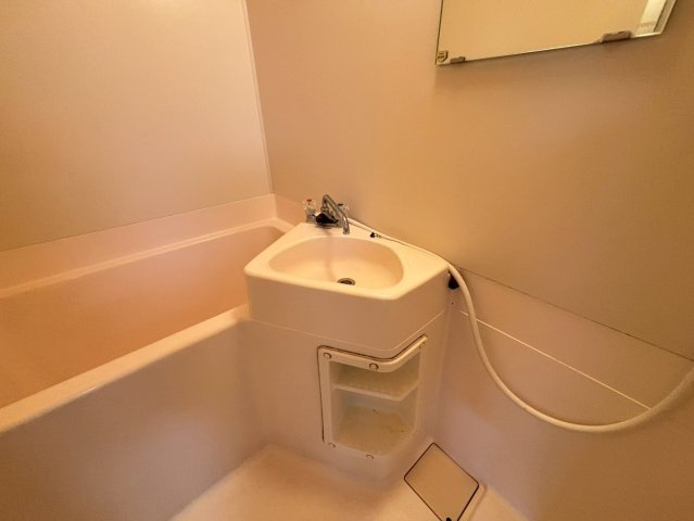 メゾン藤生の洗面所