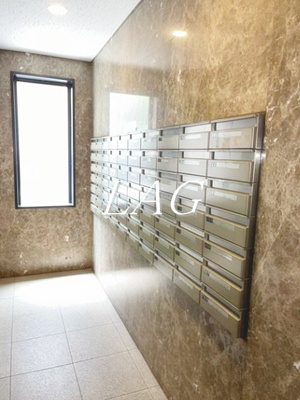 【その他】 | ステラコート