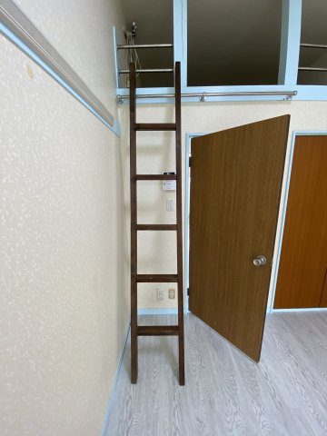 ドルフィンの内装