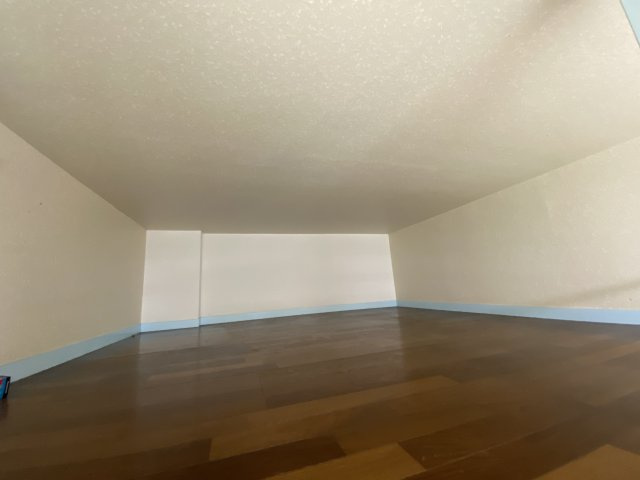 ドルフィンの内装