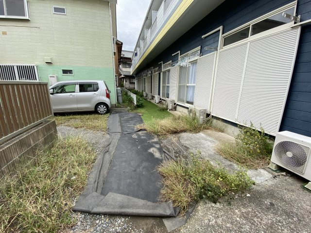 ドルフィンの周辺