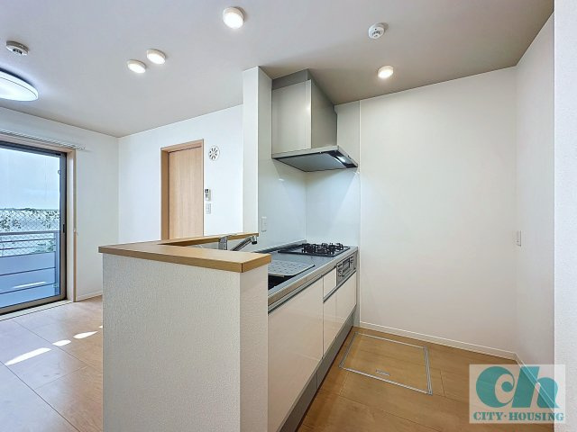 コモーダ大森南 101号室のキッチン