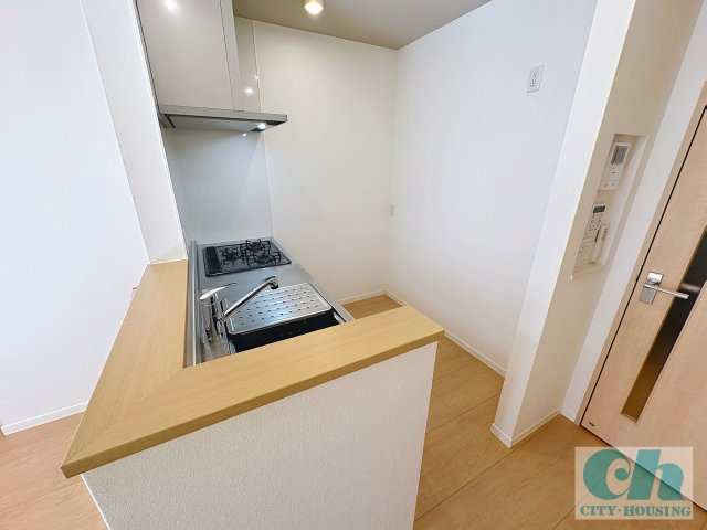 コモーダ大森南 101号室のキッチン