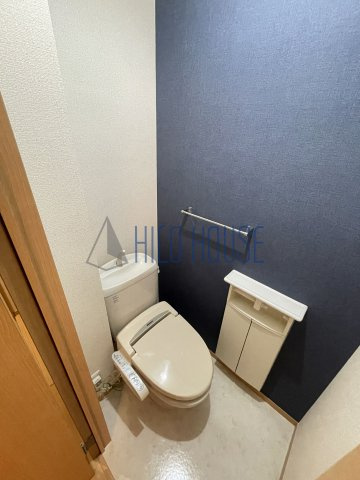 メゾン･アンソレイユ　Ⅵのトイレ