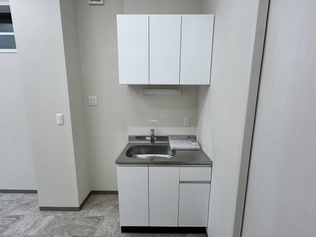 リオン　セレーナのその他