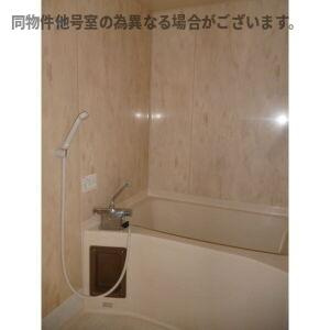 ラフォーレ二城の浴室