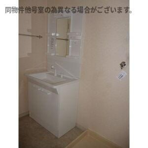 ラフォーレ二城の洗面所